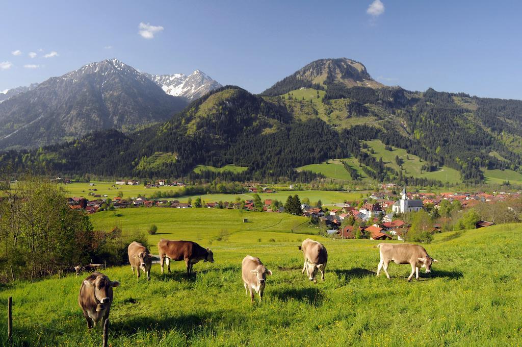 Hirschbachwinkel - Fewo-Badhindelang บาดฮินเดลัง ภายนอก รูปภาพ